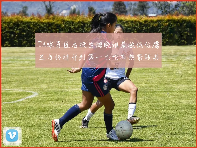 TA球员匿名投票揭晓谁最被低估鹰王与怀特并列第一杰伦布朗紧随其后
