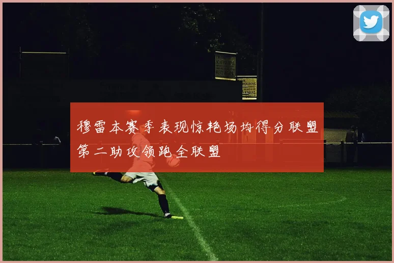 穆雷本赛季表现惊艳场均得分联盟第二助攻领跑全联盟