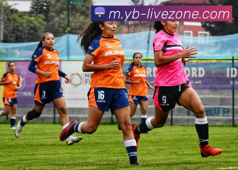 多端互动